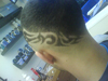 Freestyle